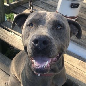 Meet your Posher, Naya